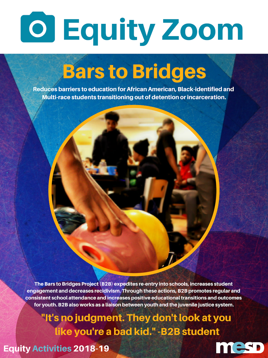 Bars to Bridges Equity Zoom Poster