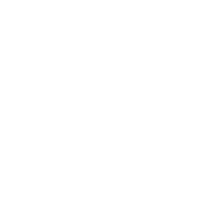B2B Logo White