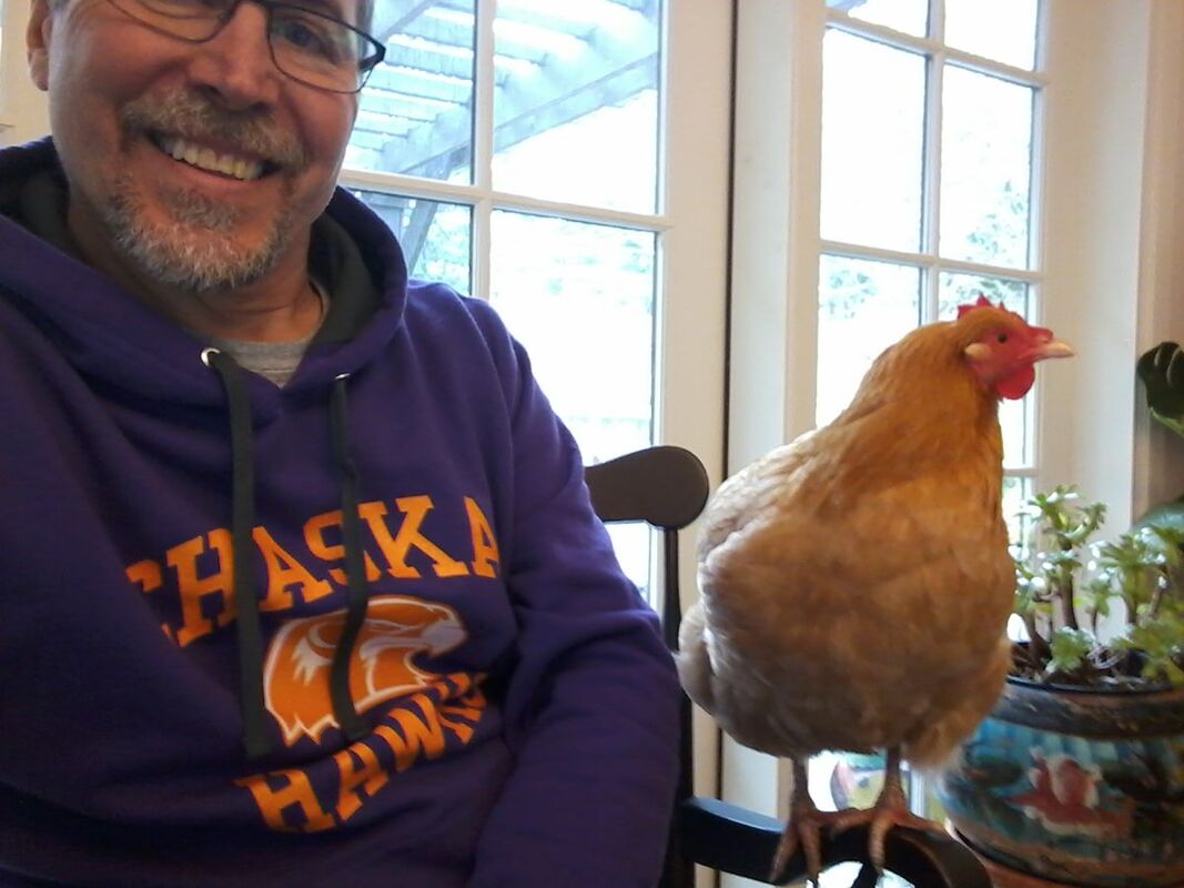 New telework supervisor, Fiona the chicken