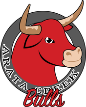 Arata Bulls Logo
