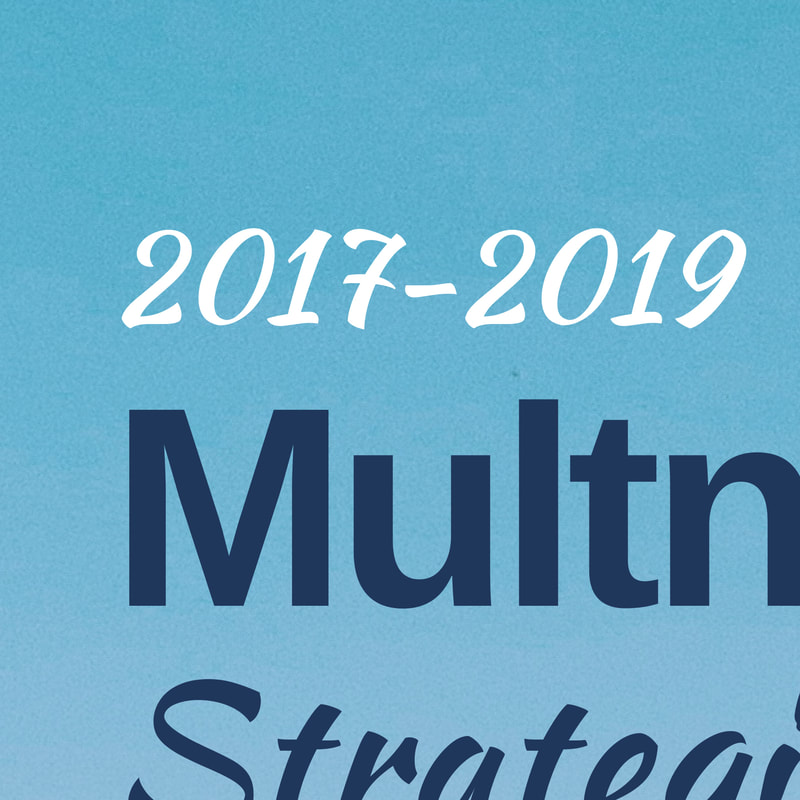 MESD Strategic Plan Poster (full text below)
